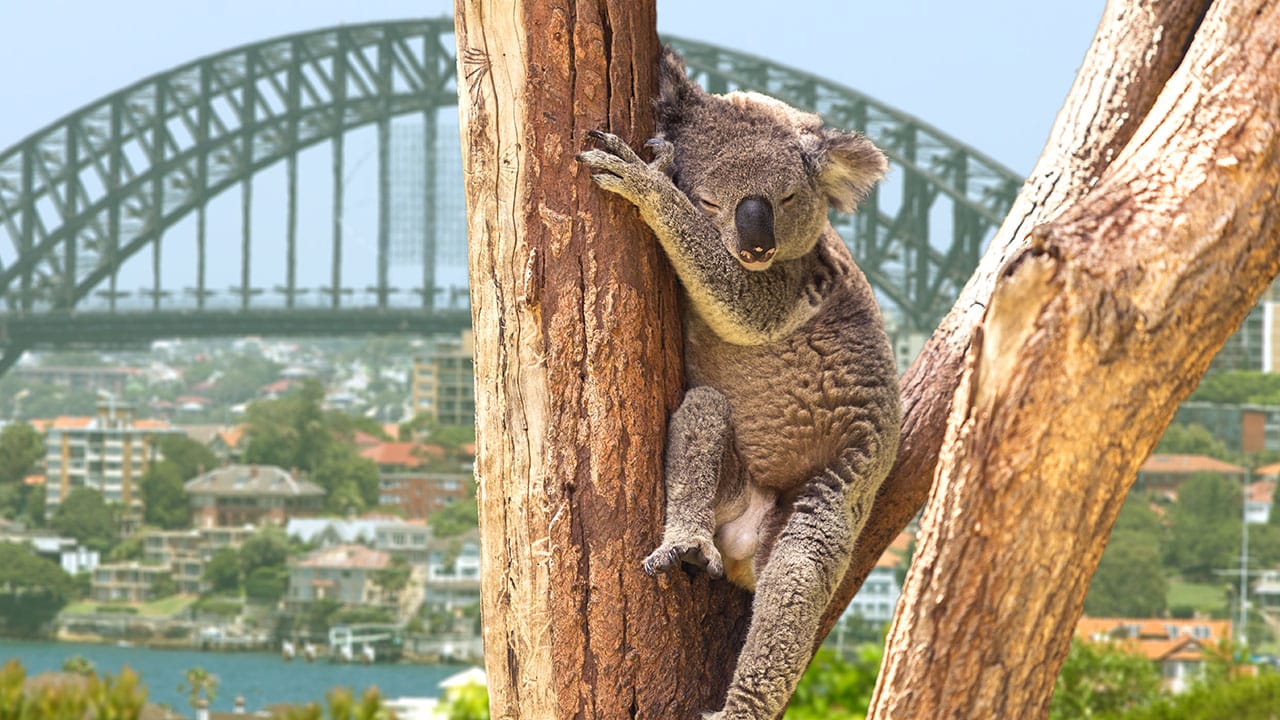 Voyage Australie, Partir en vacances en Australie